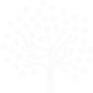 网站攻击工具